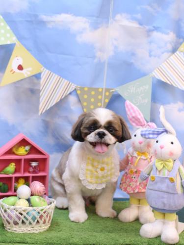 20240319うーたんくん